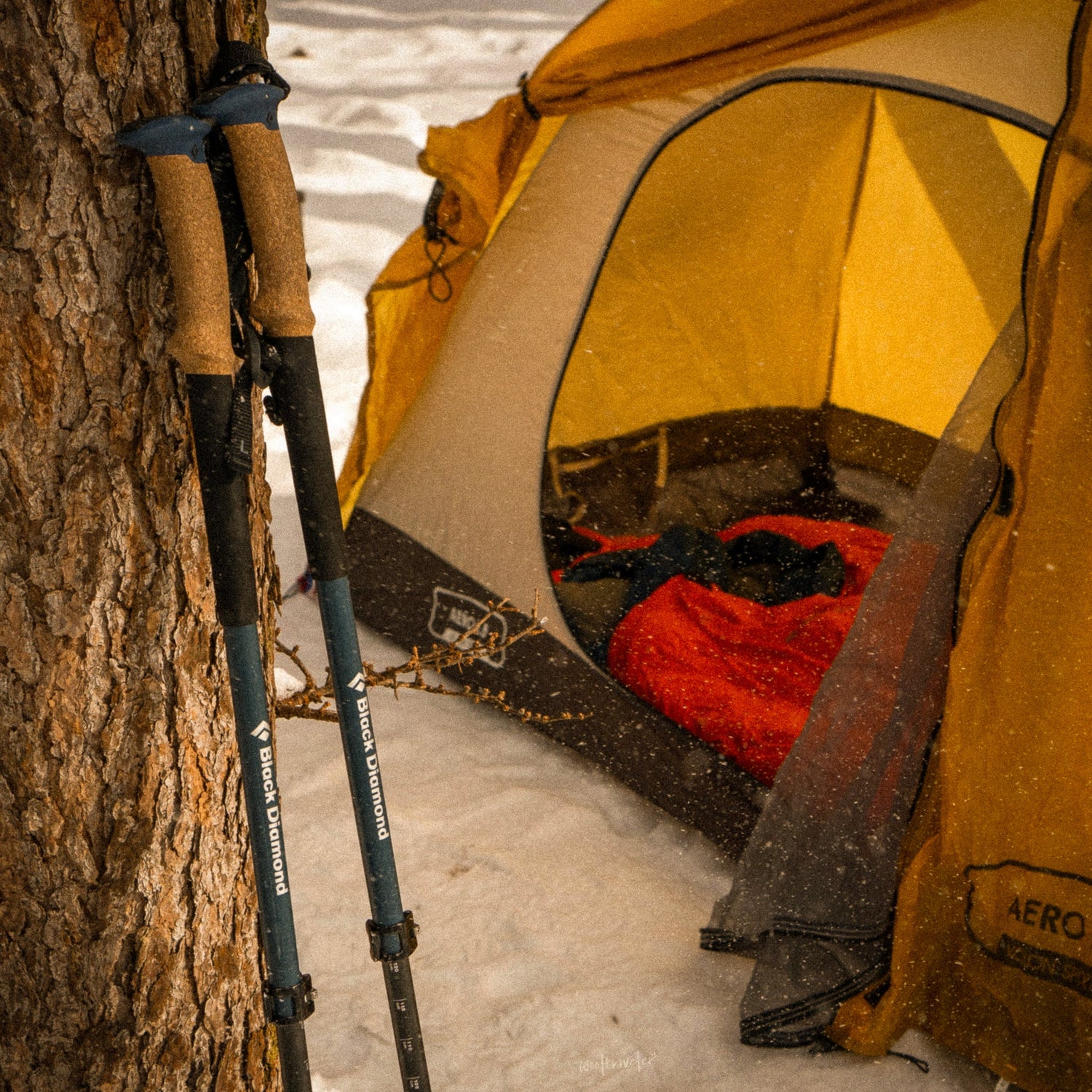 Bețe de Trekking