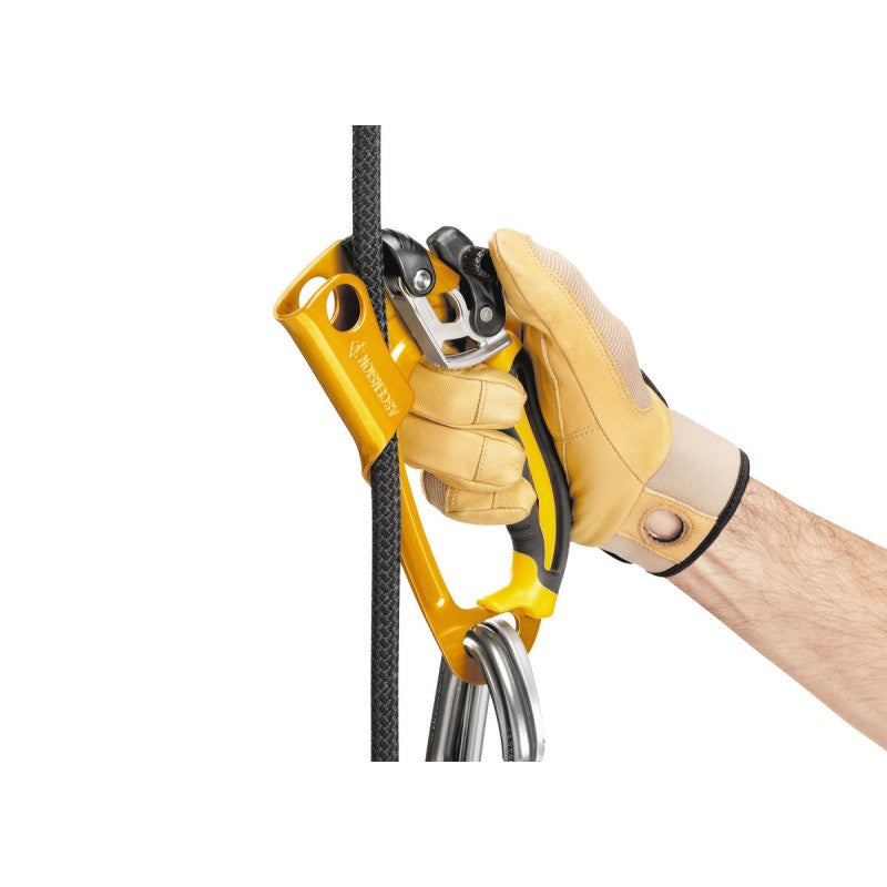 Blocator Petzl Ascension