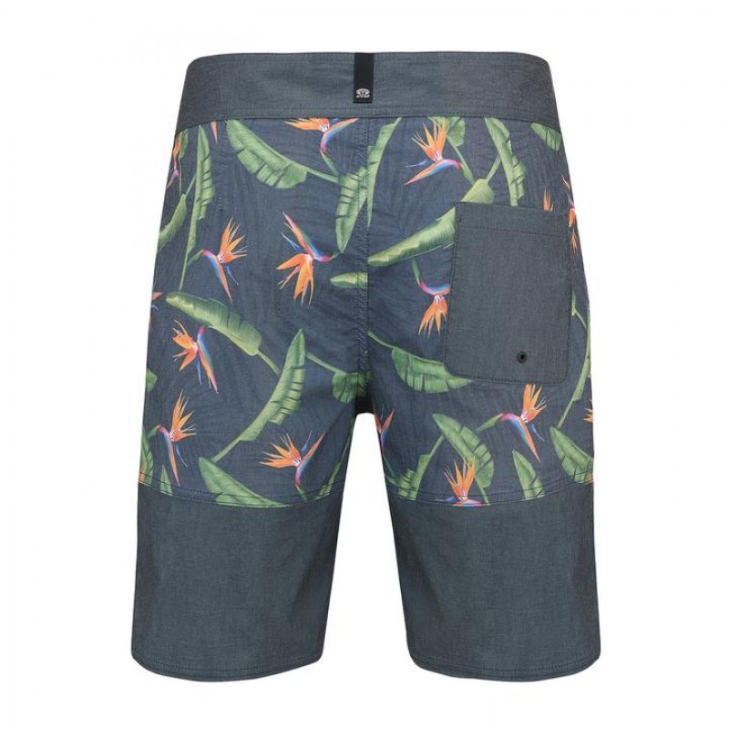 Short de baie Animal Fixed Waist Board