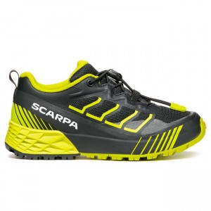Scarpa Ribelle Run GTX M Black – Lime pentru ale...